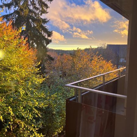 Moderne Und Zentral Gelegene Ferienwohnung In Braunlage Mit Rodelpiste Und Start Ski Langlauf In 300 Metern Entfernung Exterior foto