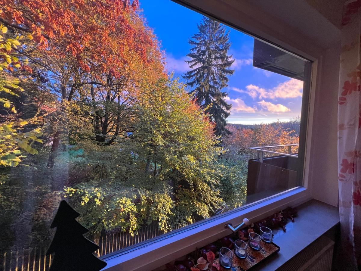 Moderne Und Zentral Gelegene Ferienwohnung In Braunlage Mit Rodelpiste Und Start Ski Langlauf In 300 Metern Entfernung Exterior foto